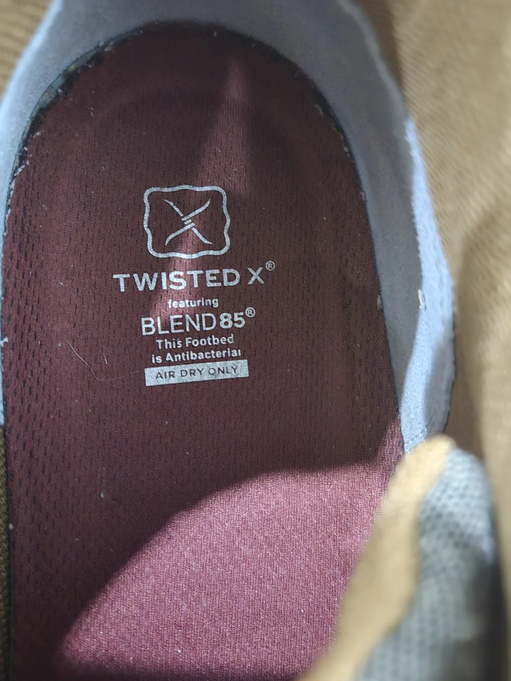 Twisted X Men’s 4” ecoTWX Wedge Sole Boot Chukkas Dust/Brown Size 14 M